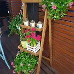 La Terrazza Di Carolina B&B