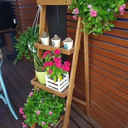 La Terrazza Di Carolina Nocleg ze śniadaniem